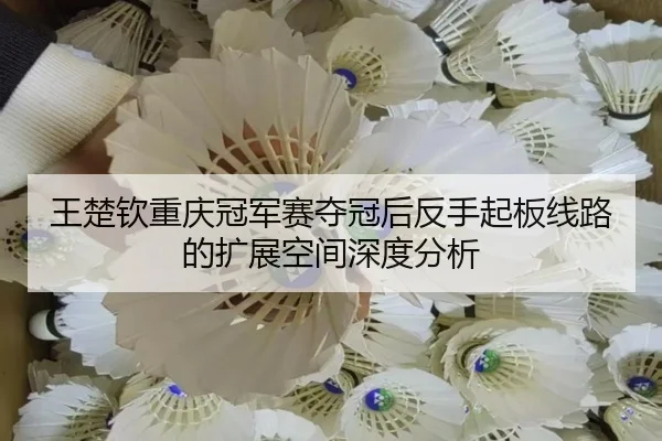王楚钦重庆冠军赛夺冠后反手起板线路的扩展空间深度分析